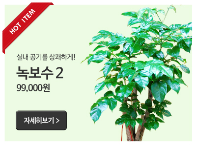 실내 공기를 상쾌하게! 녹보수 2 99,000원