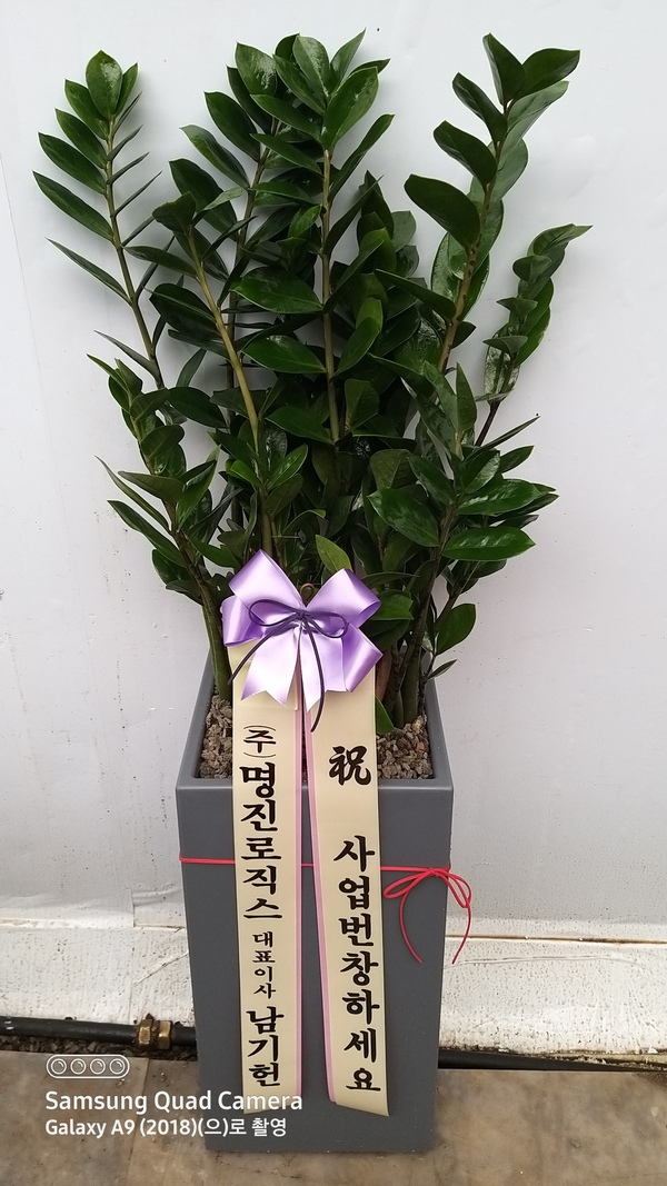 배송사진