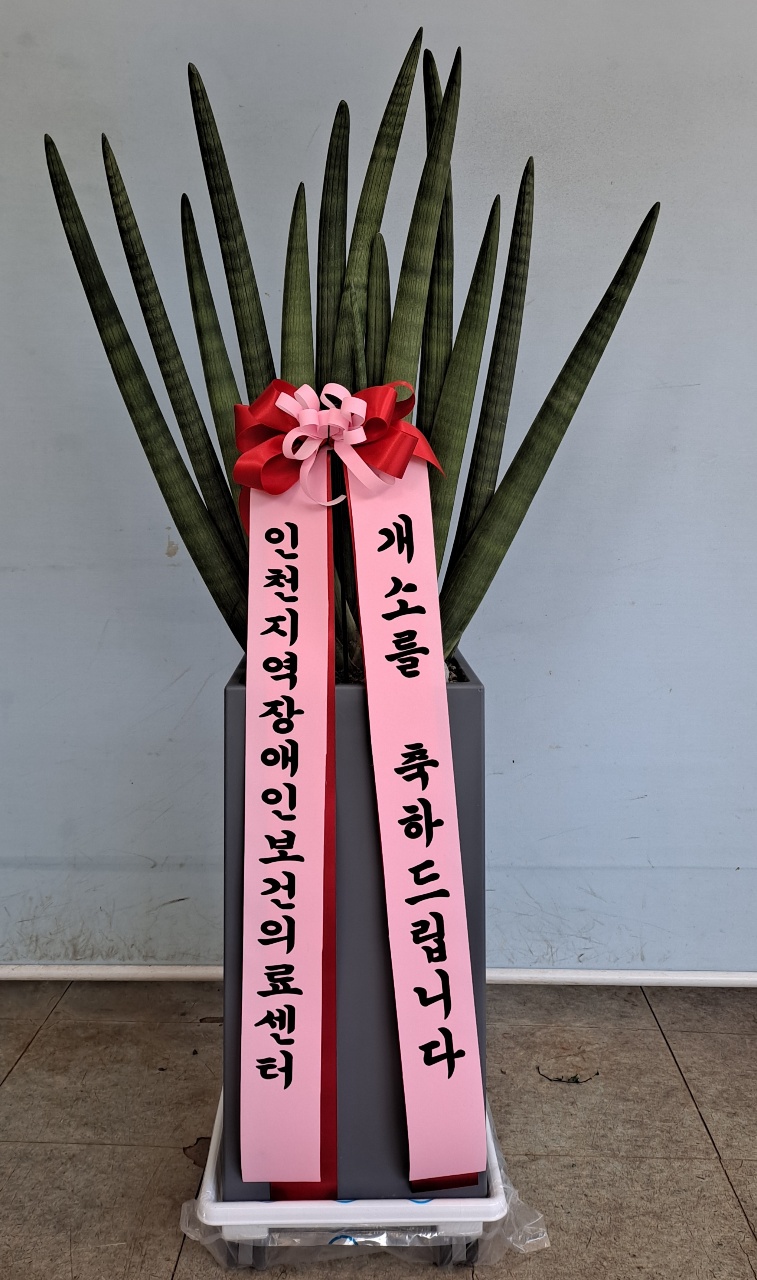 배송사진