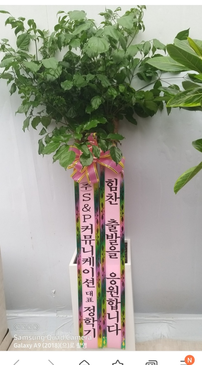 배송사진