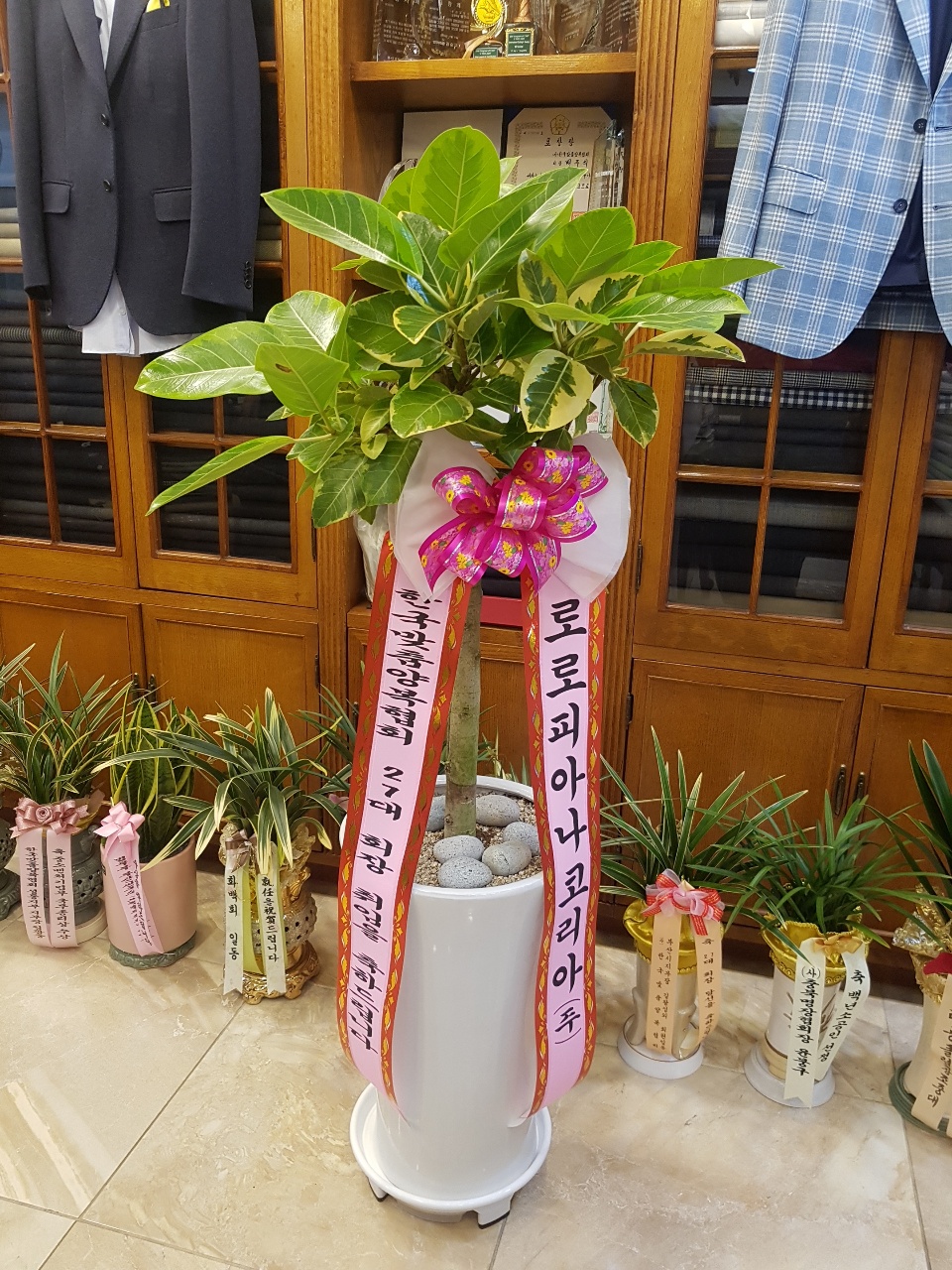 배송사진