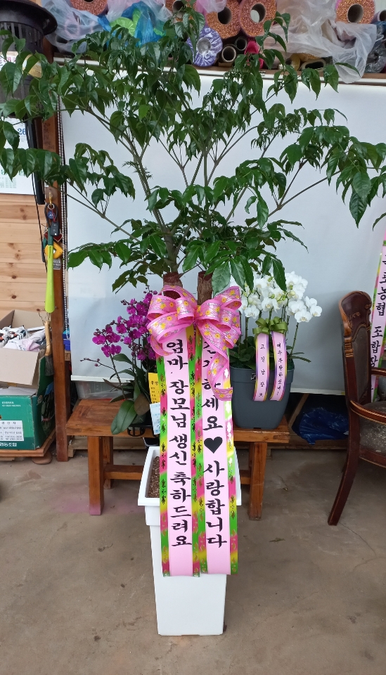 배송사진