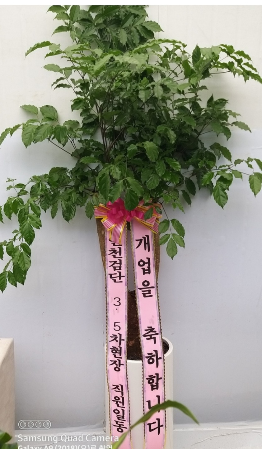 배송사진