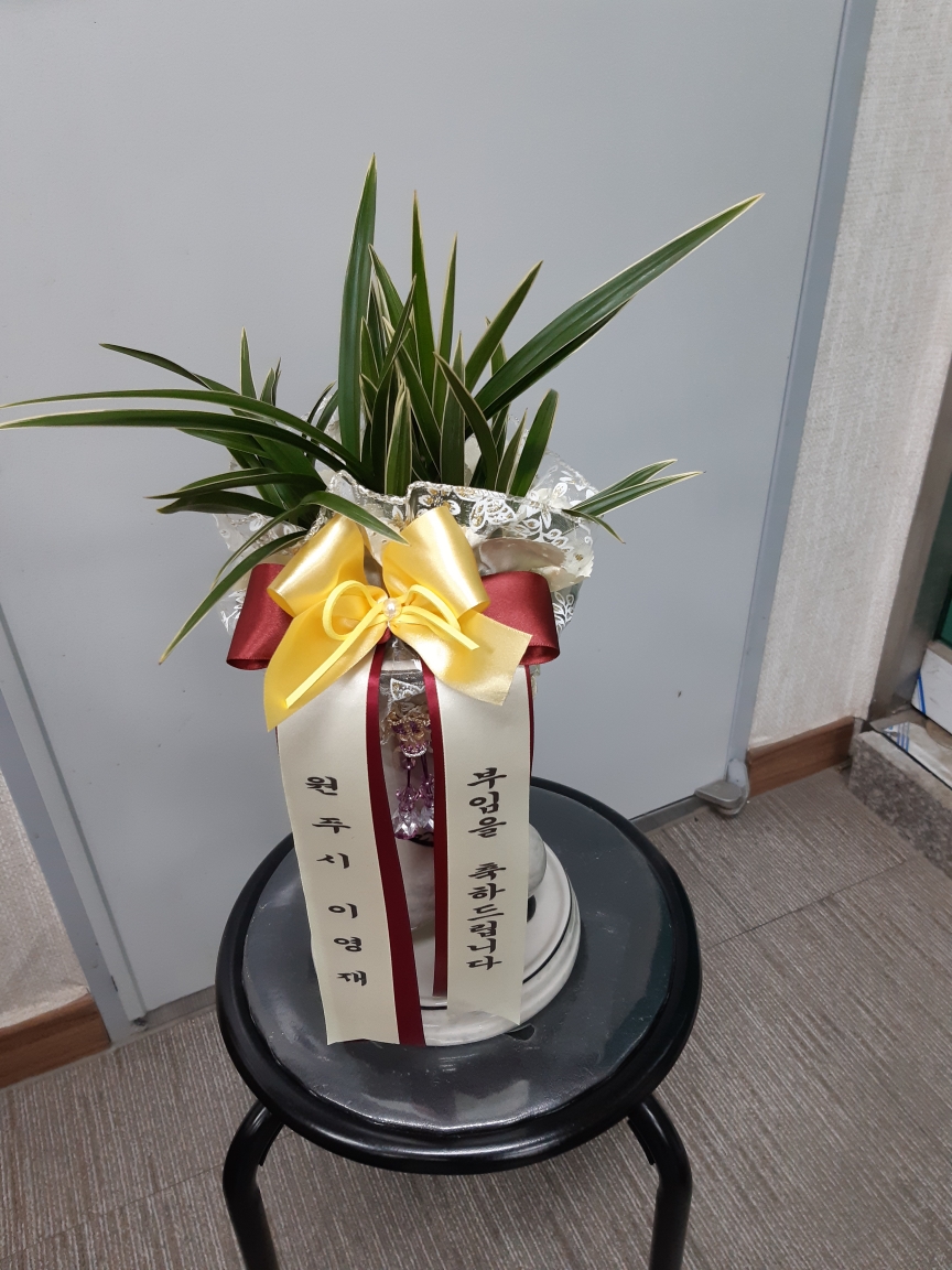 배송사진