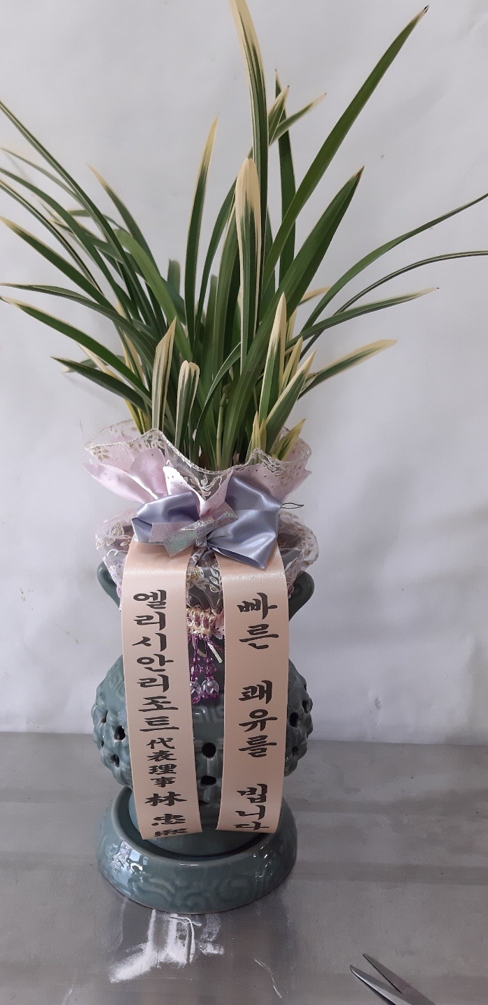 배송사진