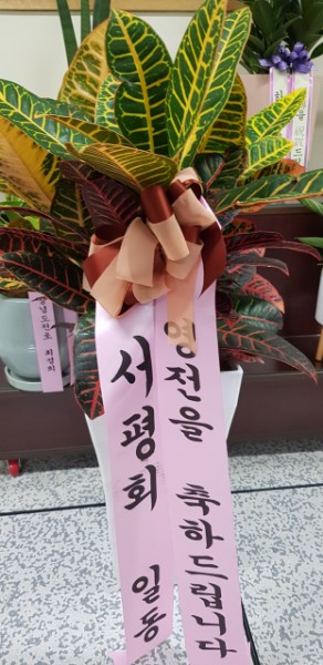 배송사진