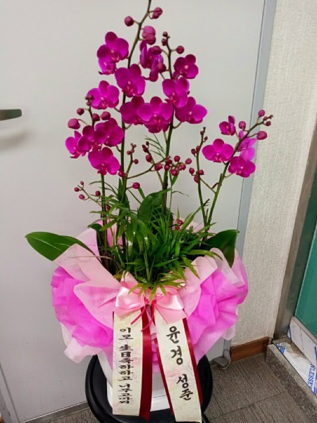 배송사진