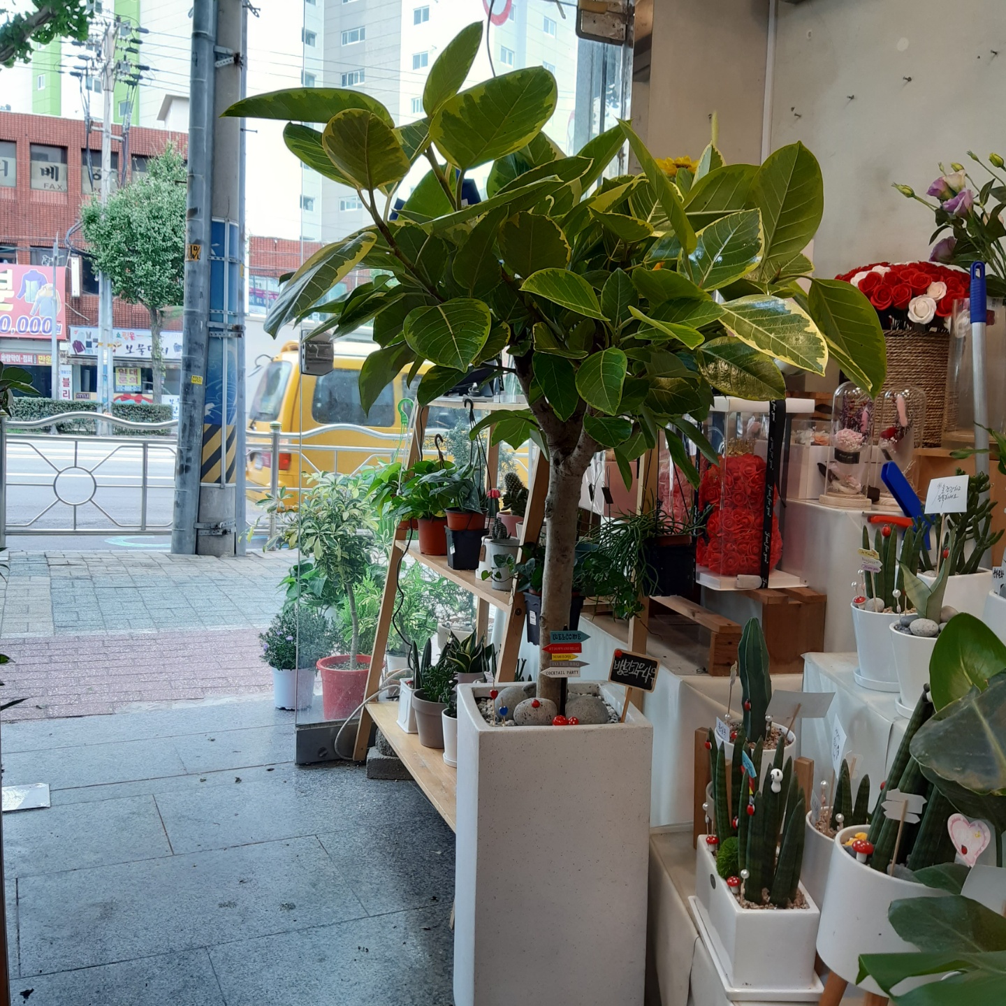 배송사진