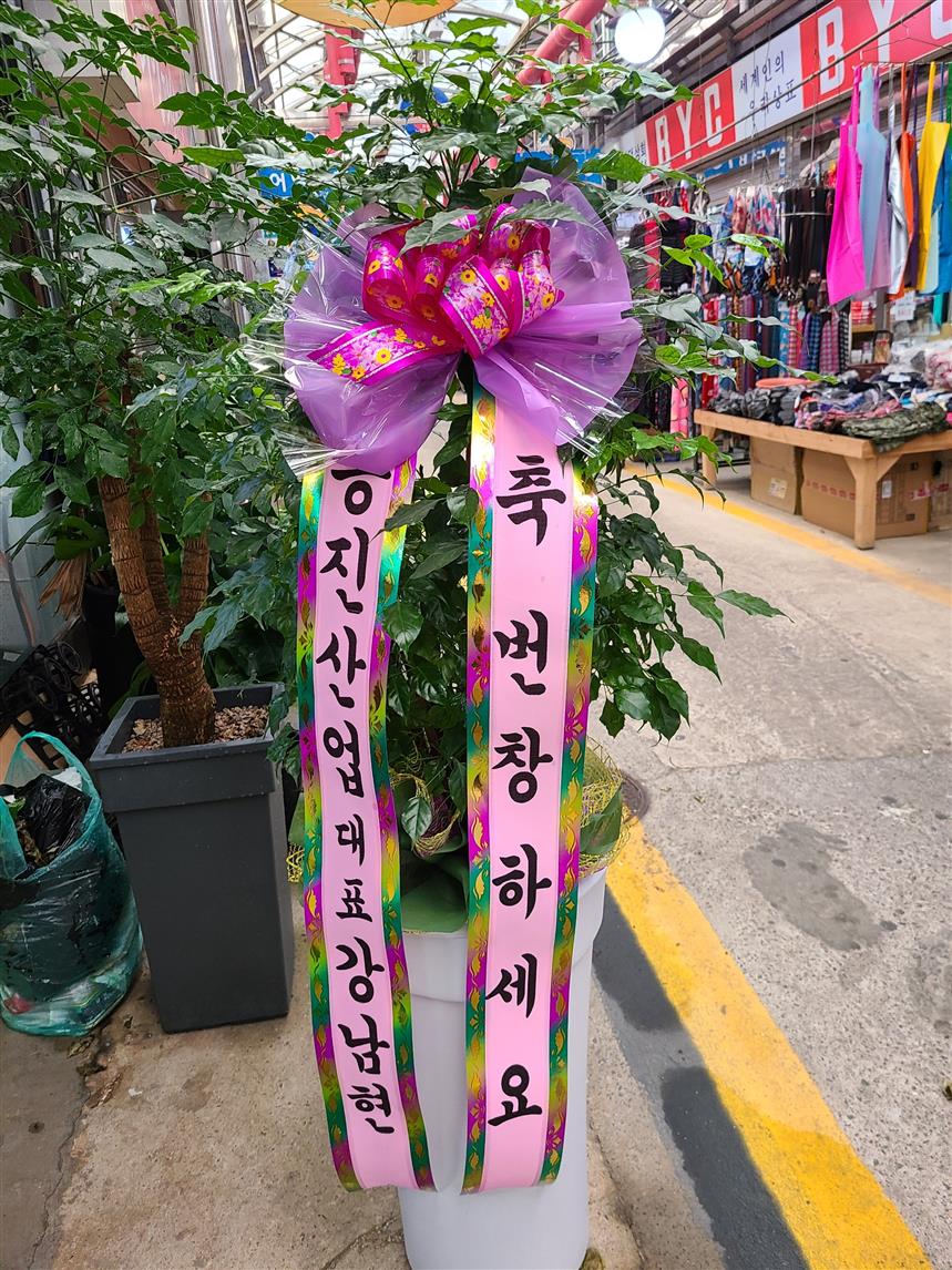 배송사진