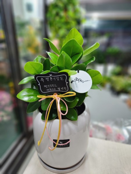 배송사진