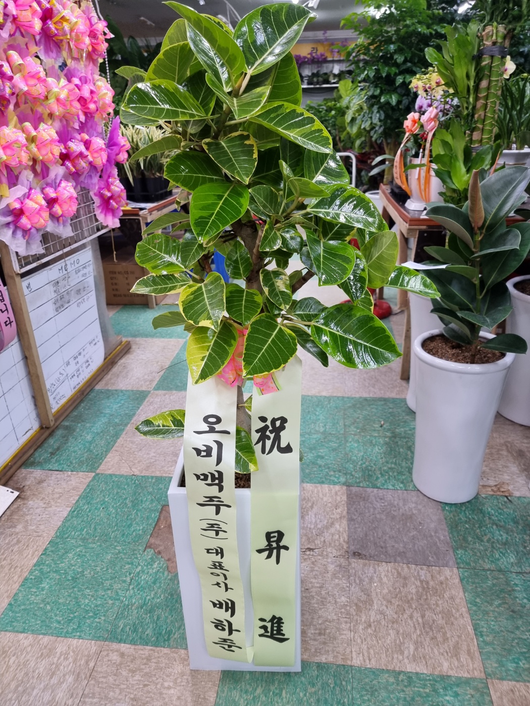 배송사진