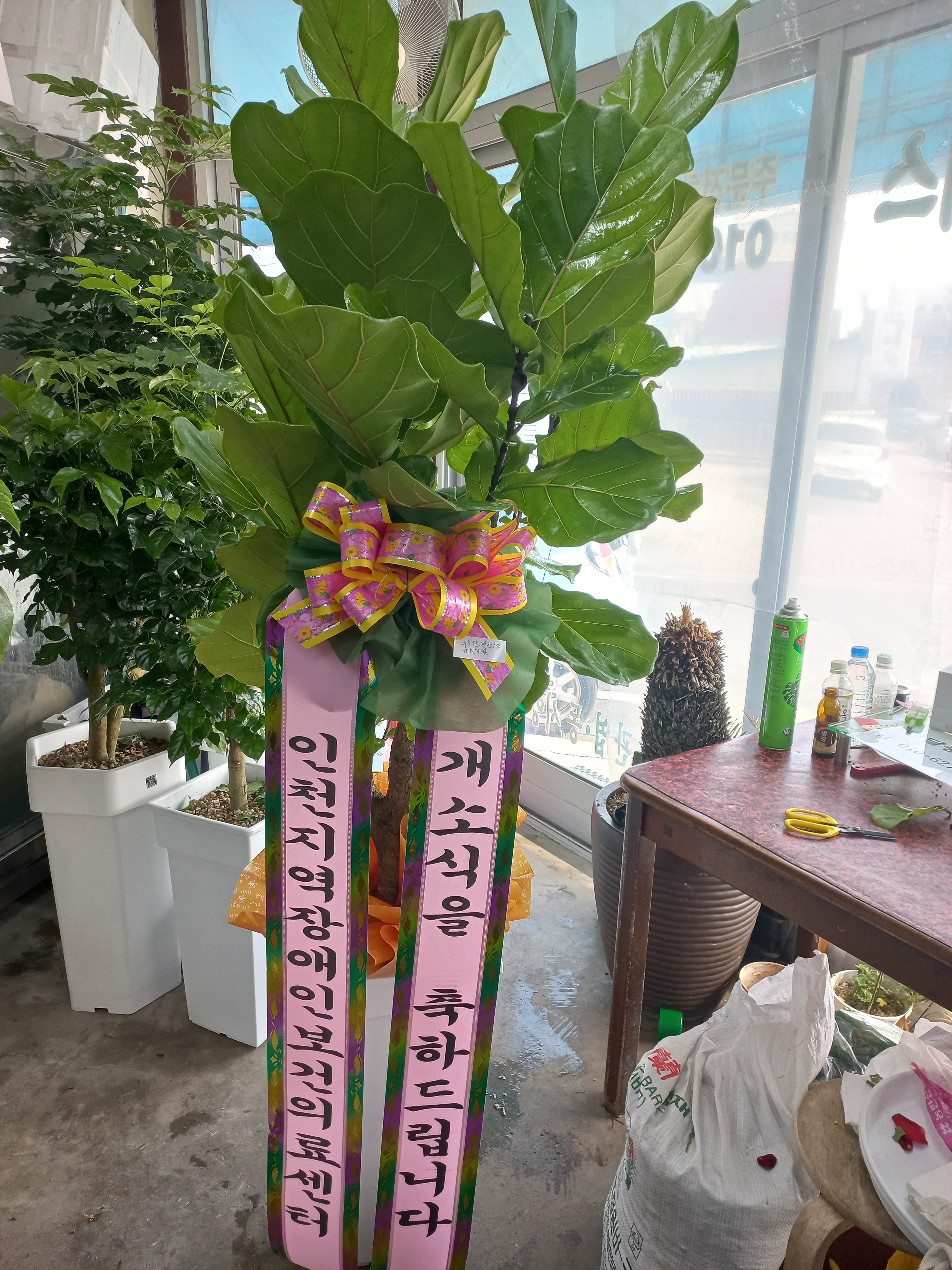 배송사진