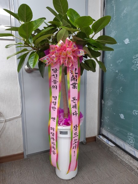 배송사진