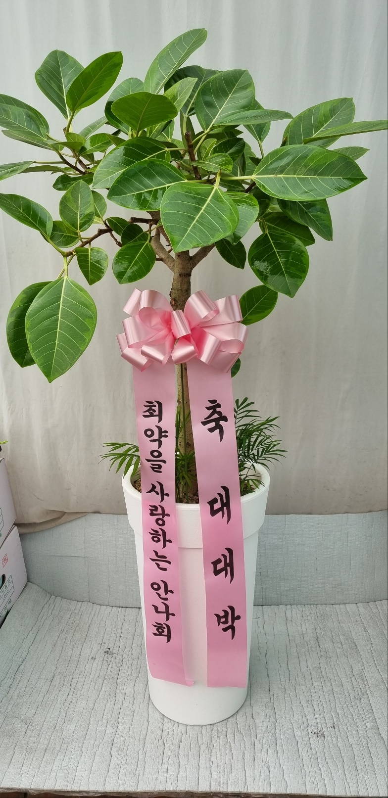 배송사진