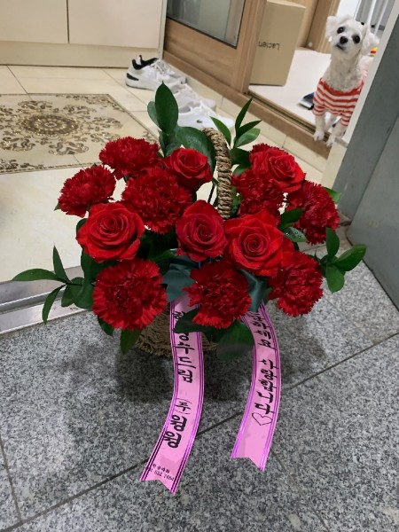 배송사진