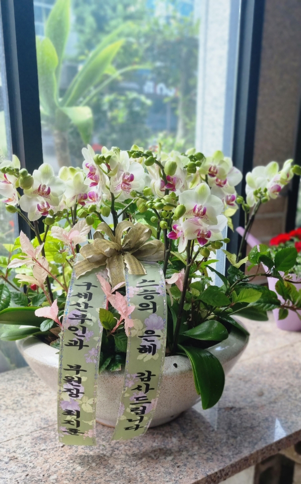 배송사진