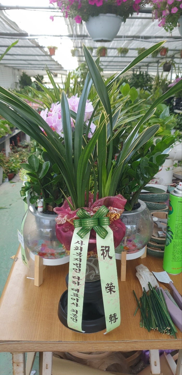 배송사진