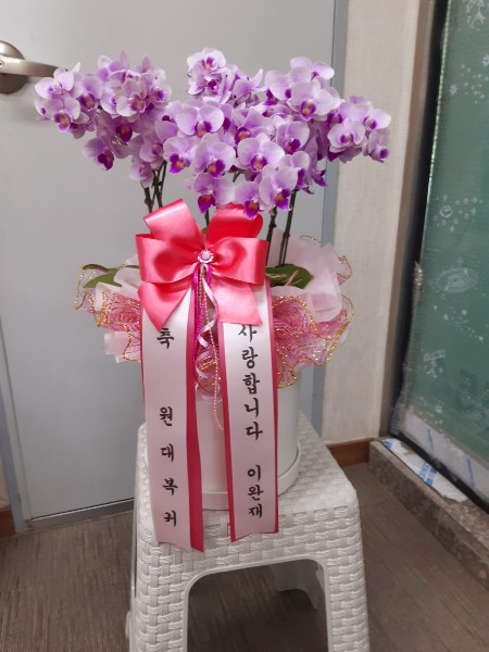 배송사진