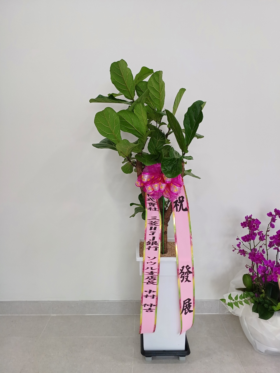 배송사진