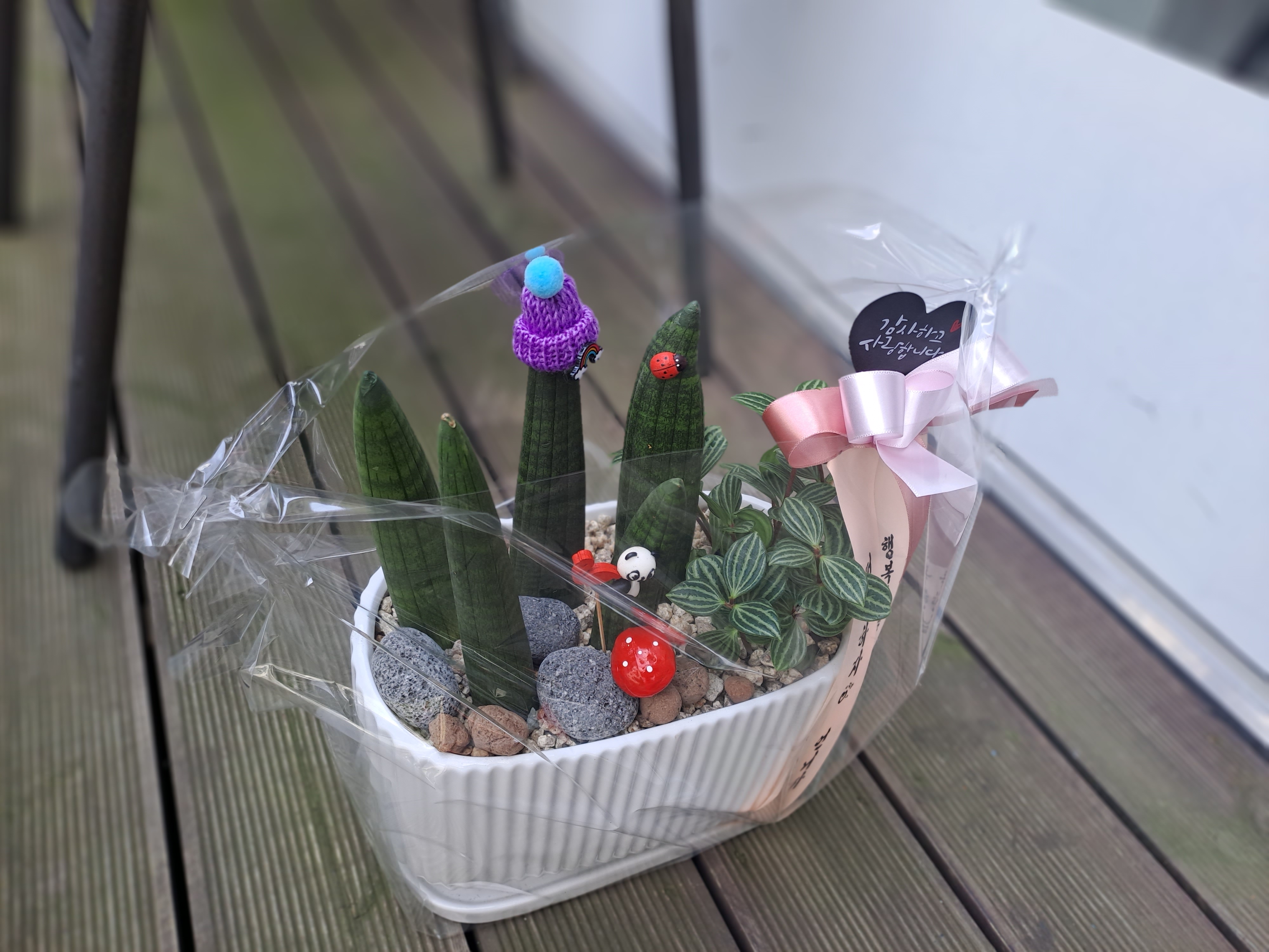배송사진