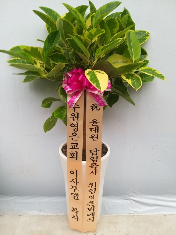배송사진