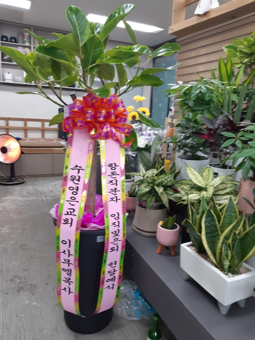 배송사진2
