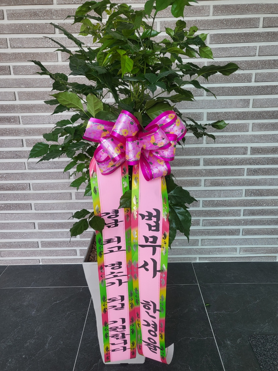 배송사진