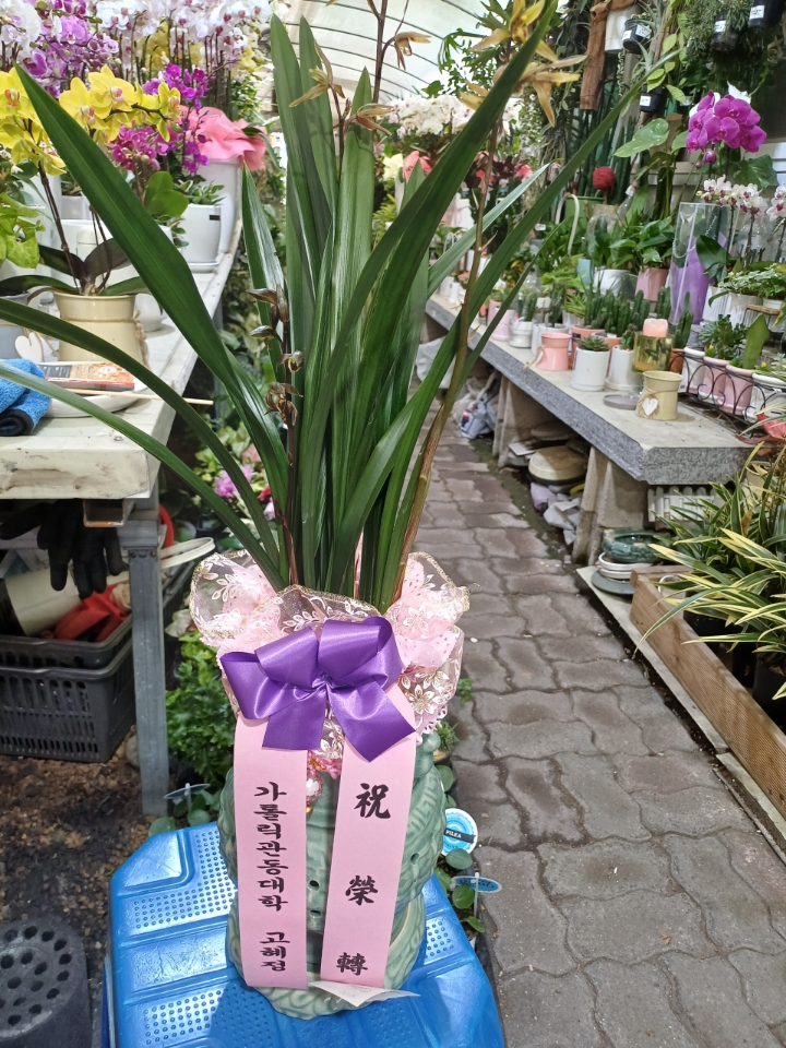 배송사진2