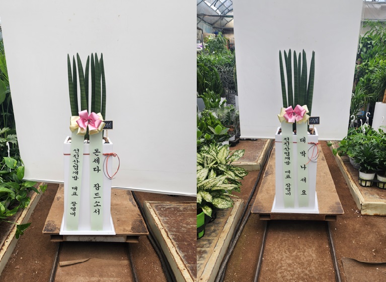 배송사진2