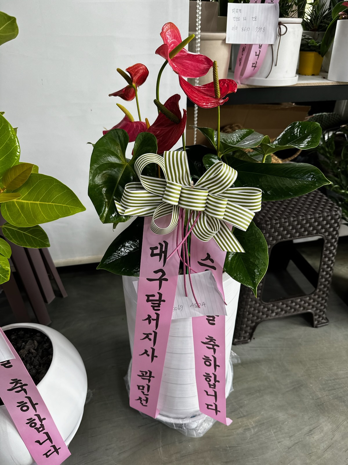 배송사진