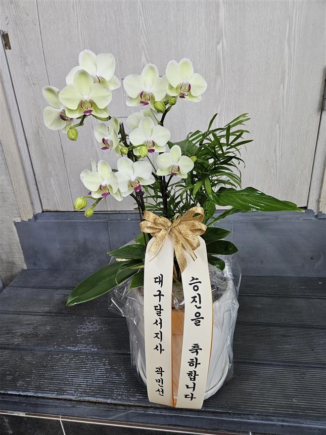 배송사진