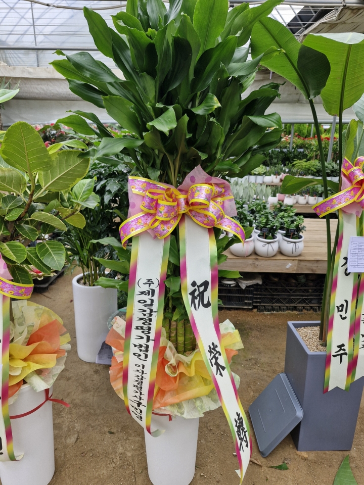 배송사진