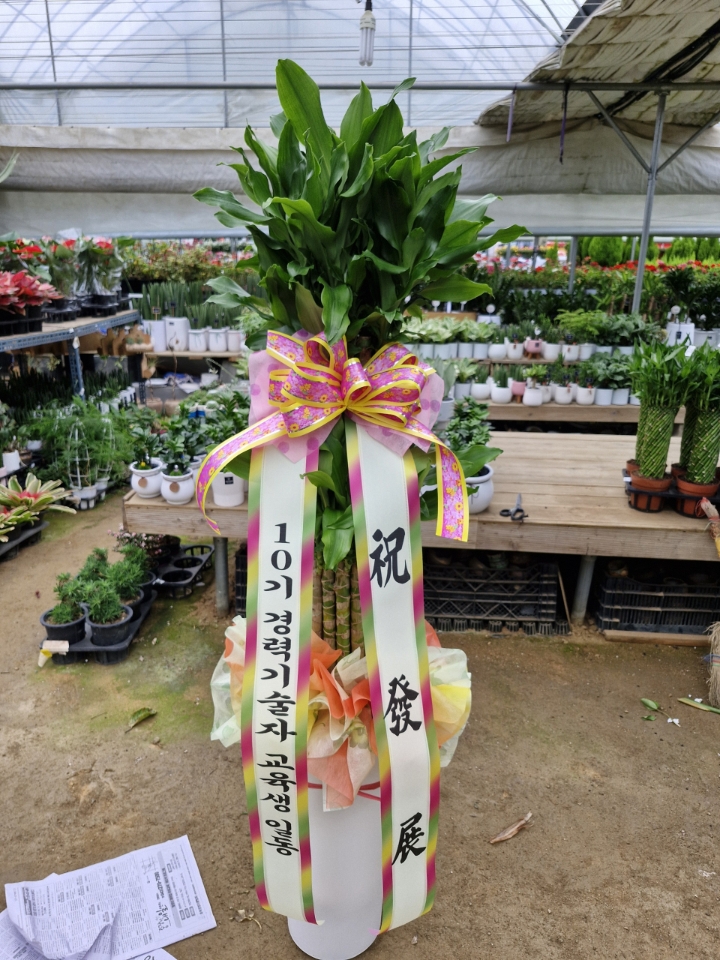 배송사진