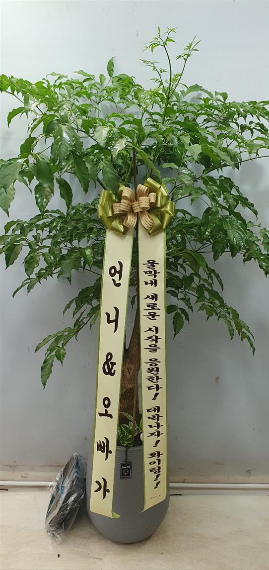 배송사진2