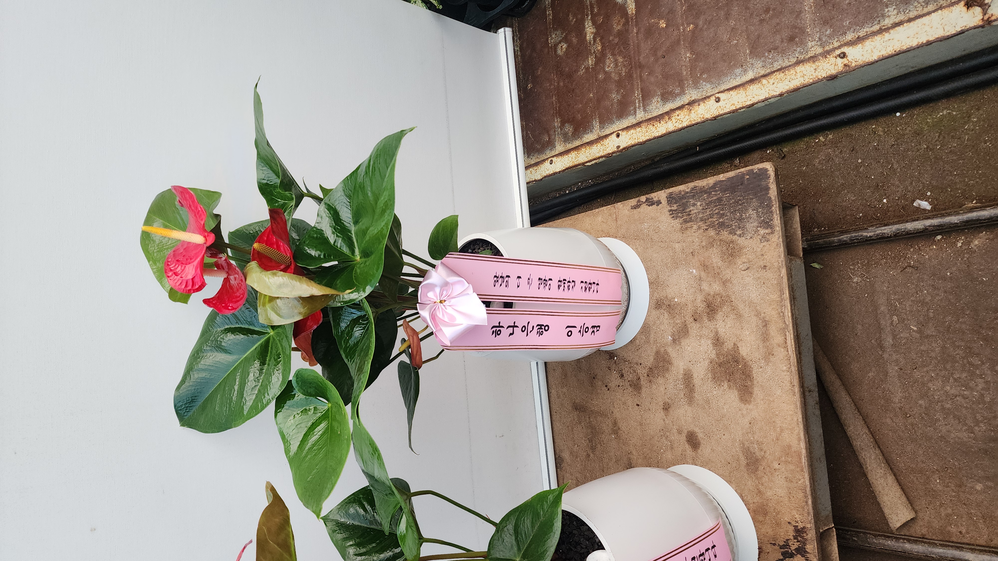 배송사진2