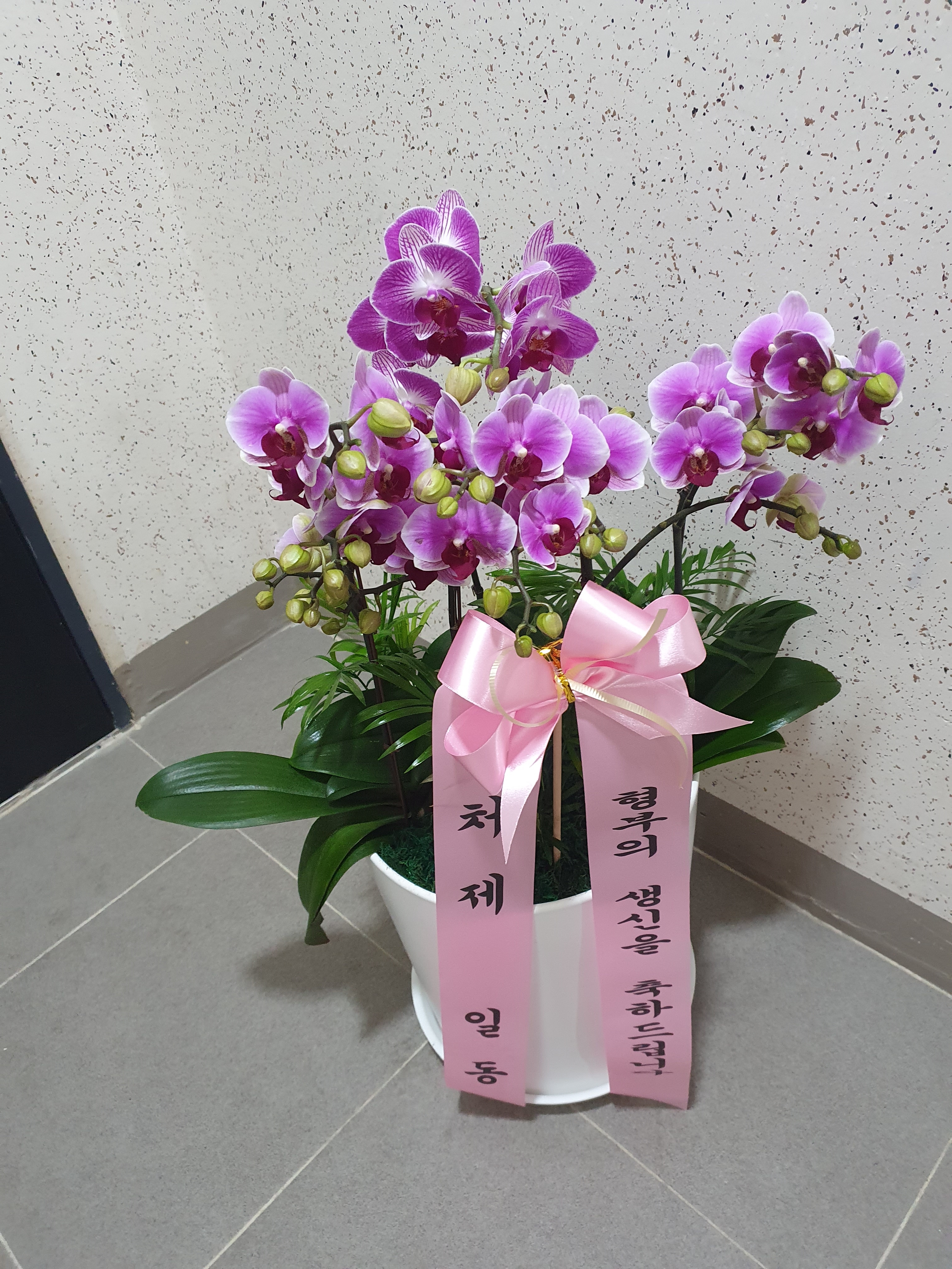 배송사진