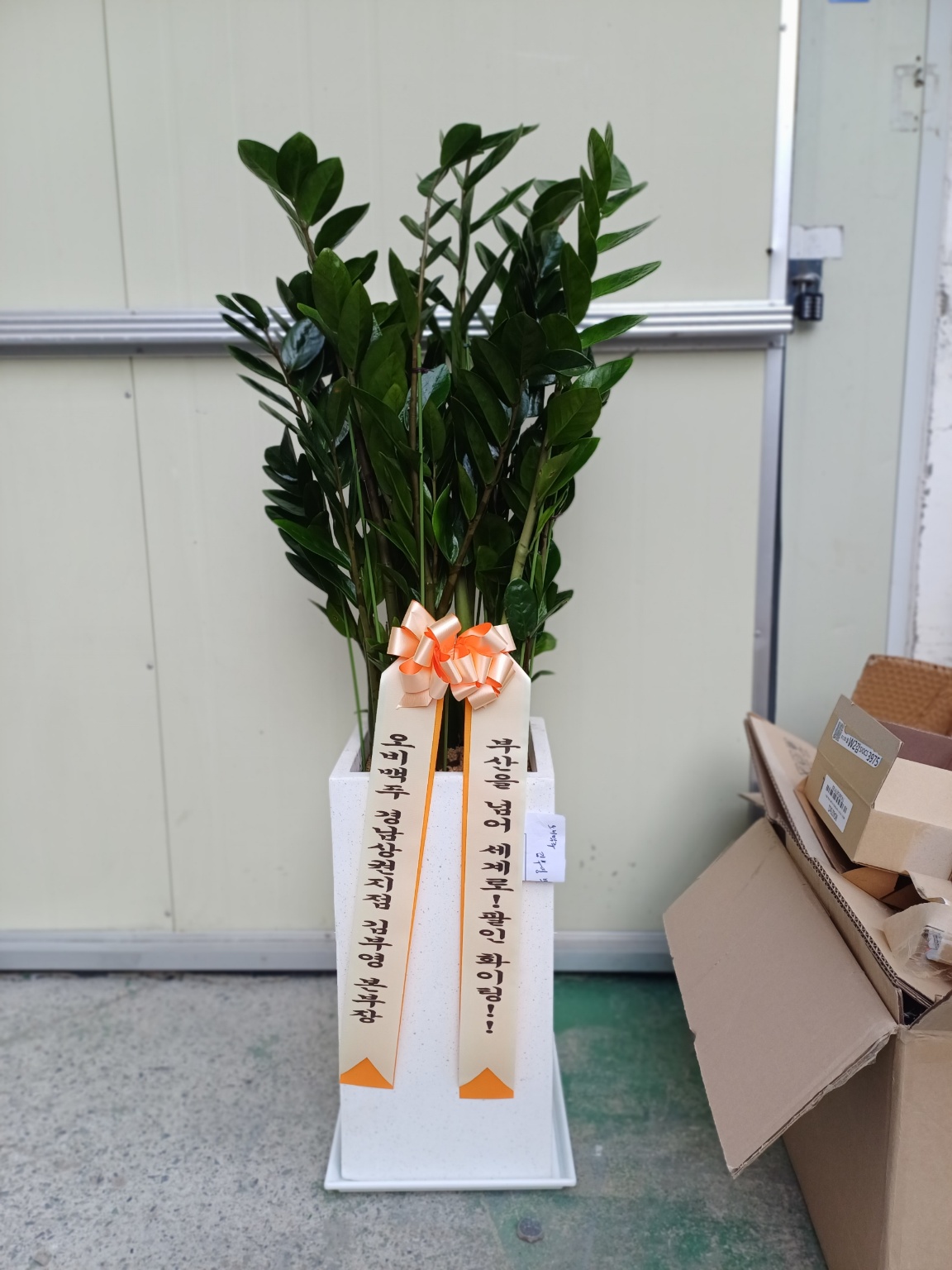 배송사진