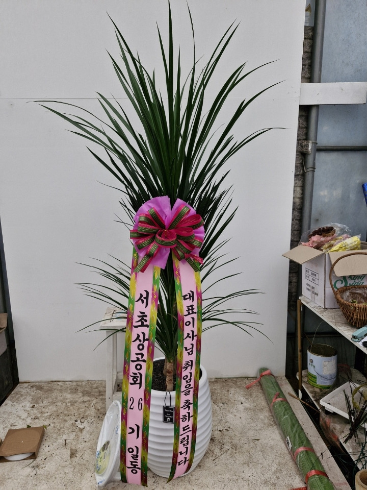 배송사진