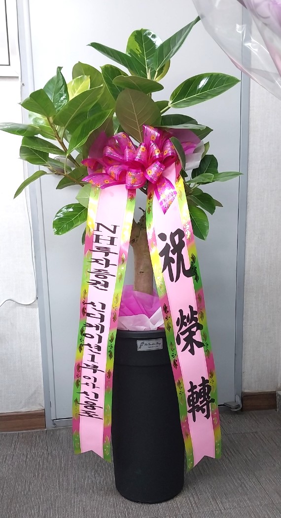 배송사진