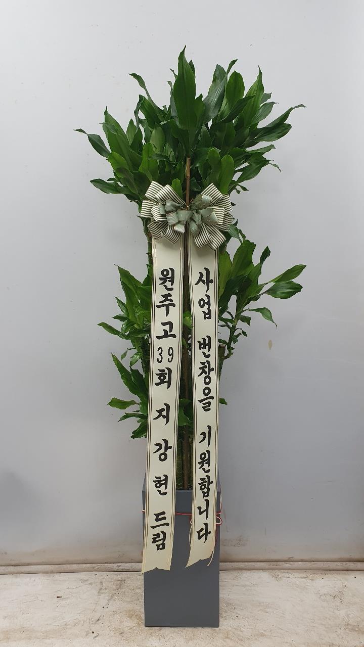 배송사진2