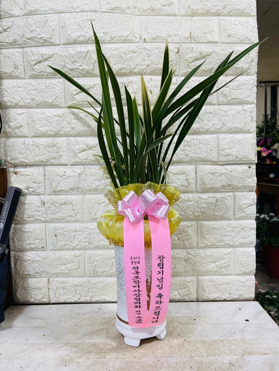 배송사진