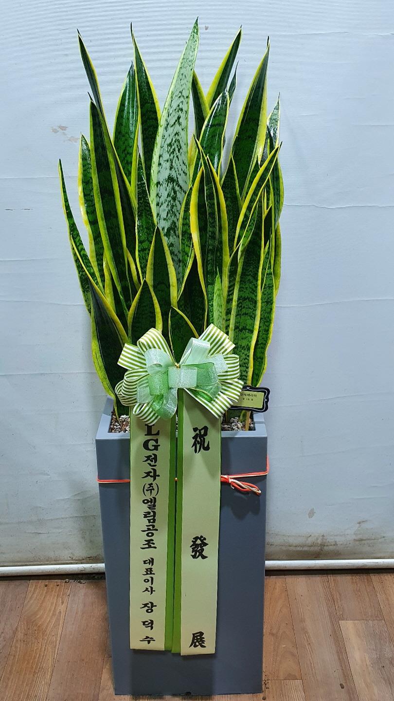 배송사진2