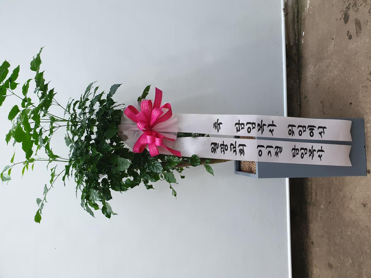 배송사진