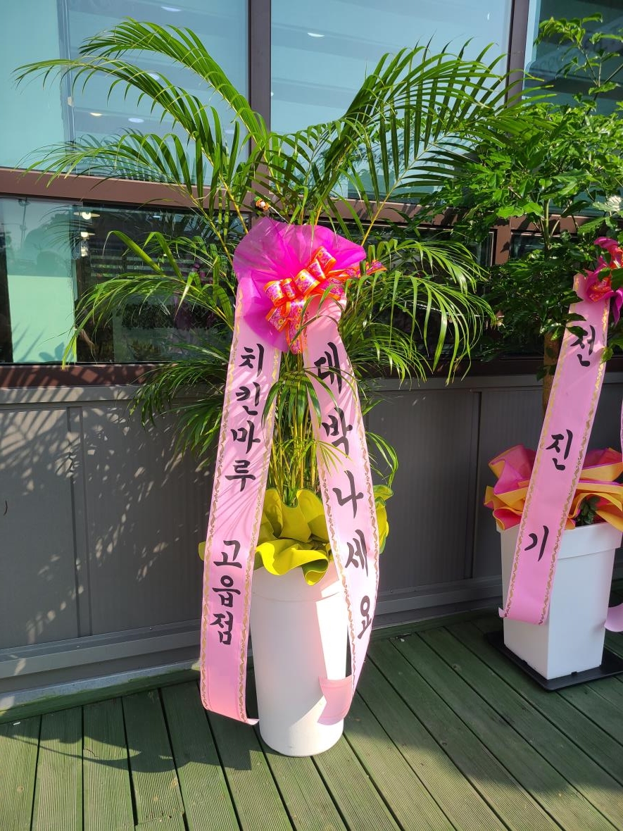 배송사진