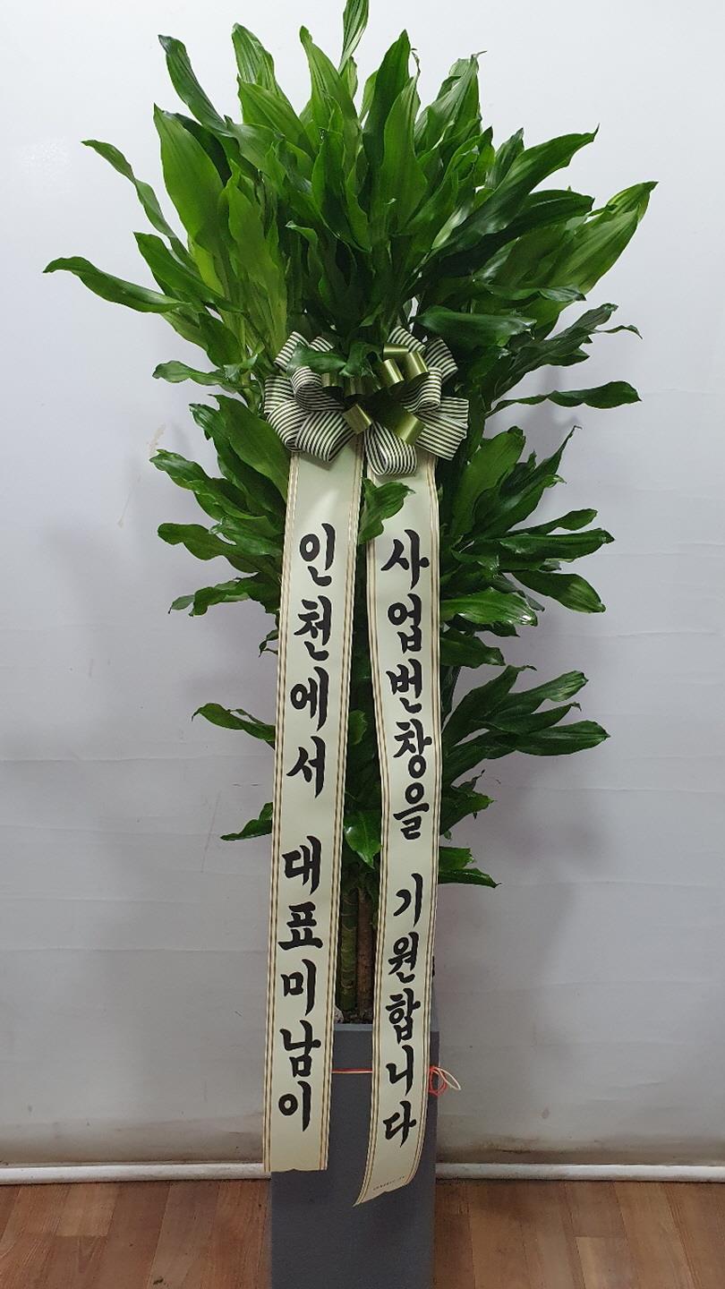 배송사진2