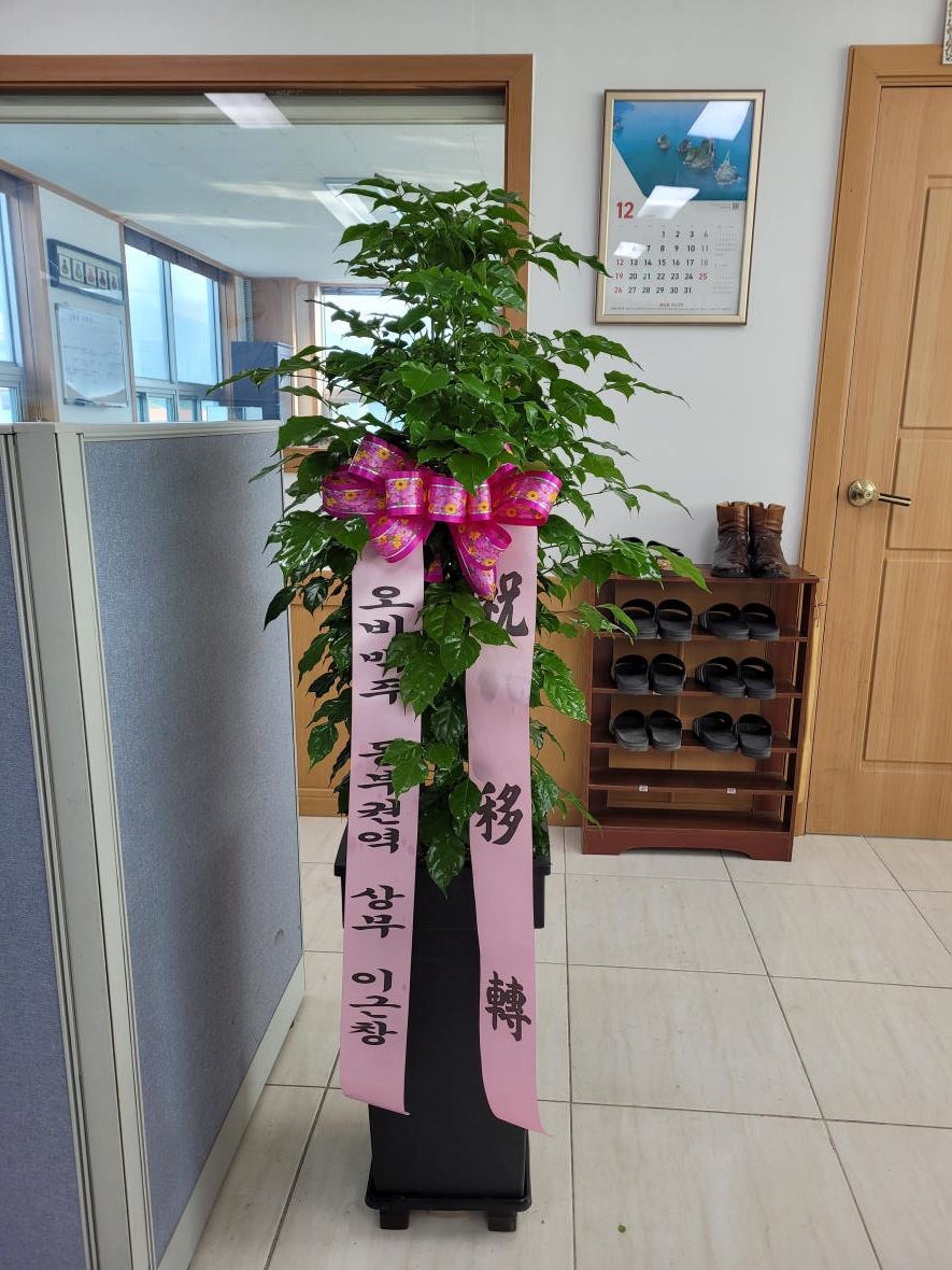 배송사진