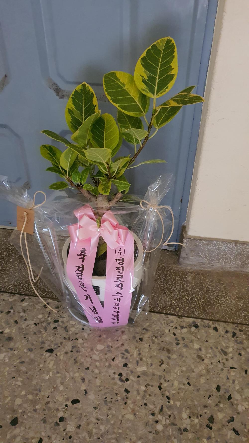 배송사진