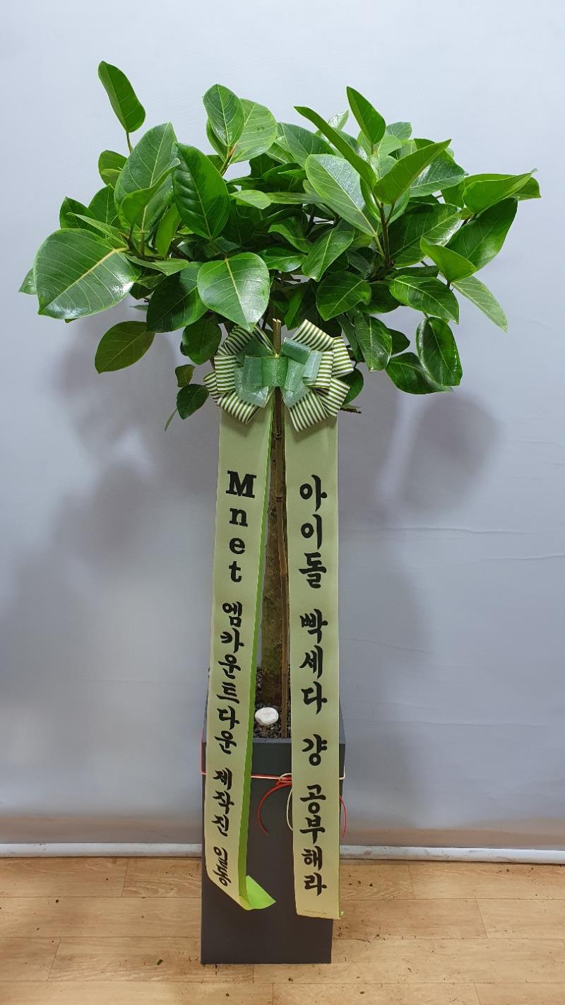 배송사진2