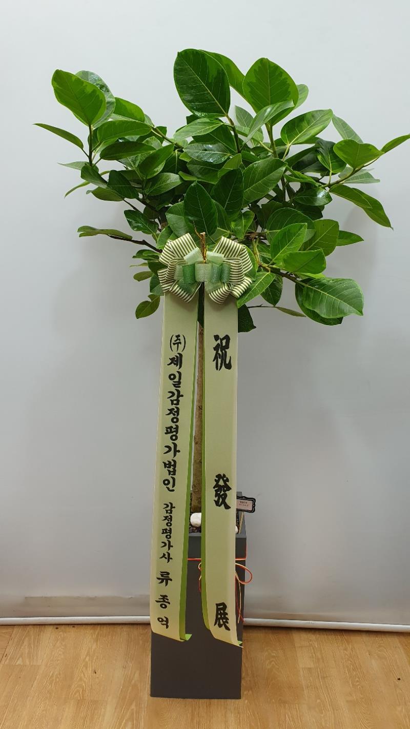 배송사진2