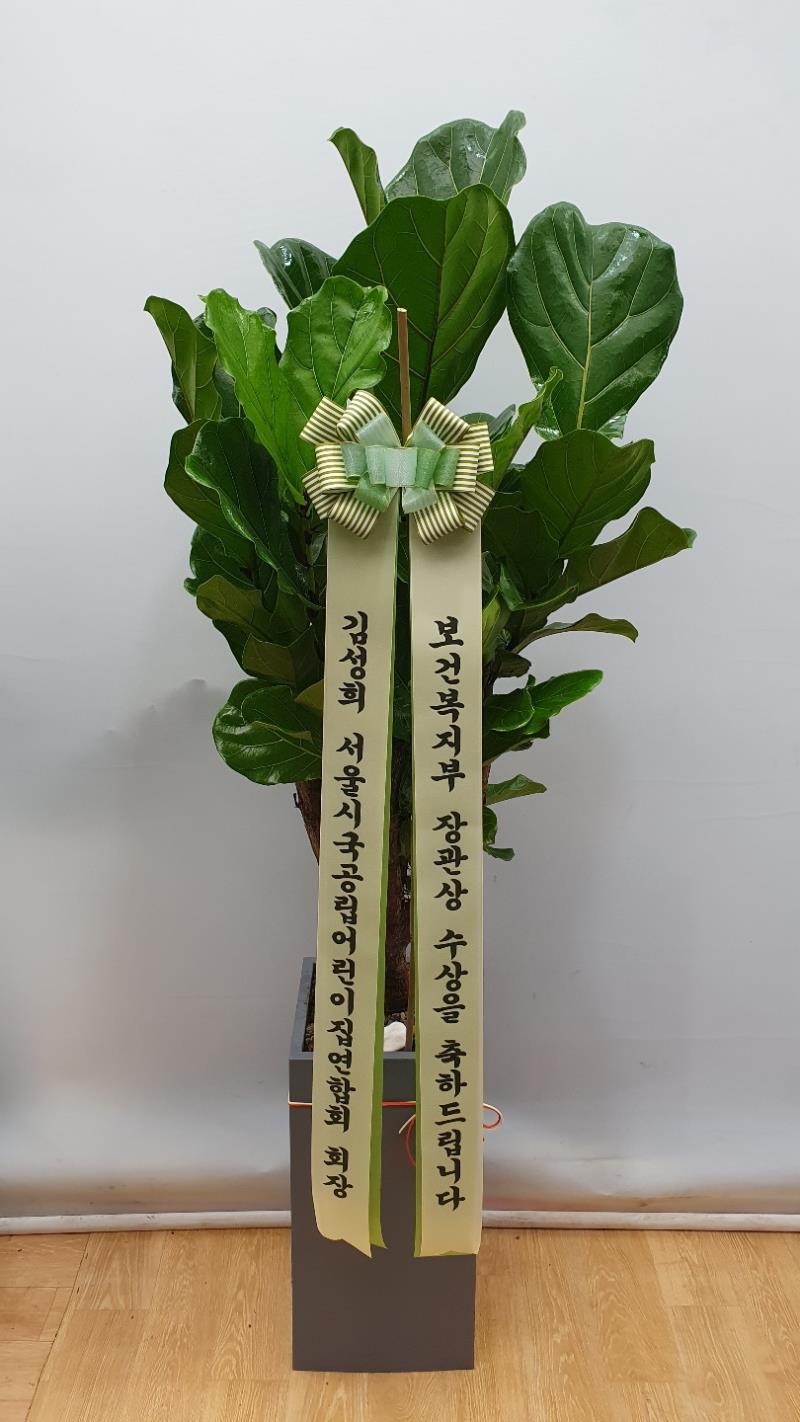 배송사진2